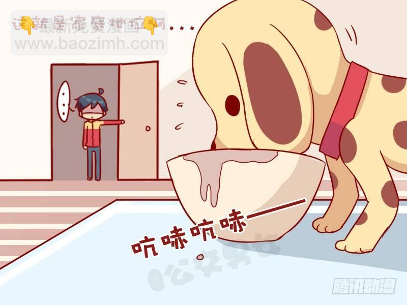 🍸公交男女爆笑漫画 1000-家庭地位 第5页