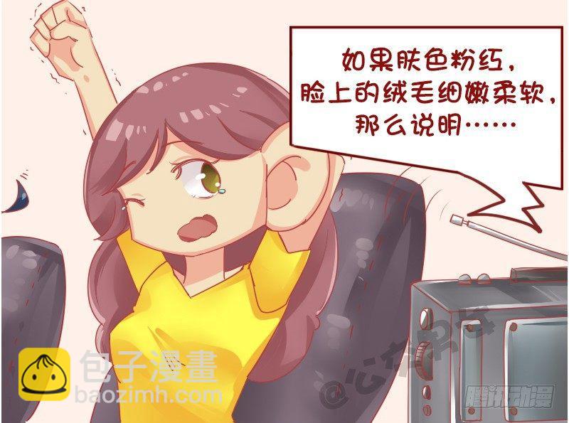🍸公交男女爆笑漫画 1128-养猪知识讲座 第3页
