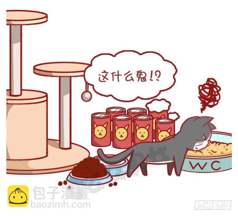 🍸公交男女爆笑漫画 不是说，建国之后动物不能成精吗？ 第12页