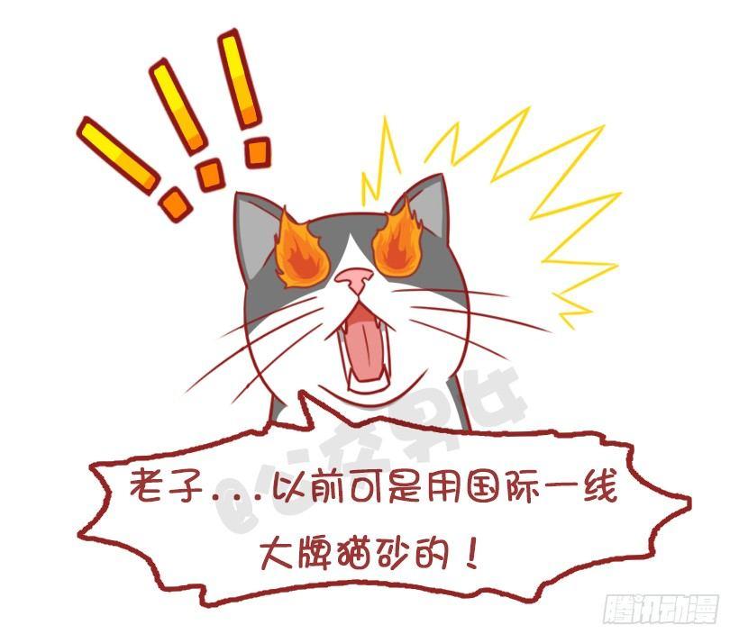 🍸公交男女爆笑漫画 不是说，建国之后动物不能成精吗？ 第14页