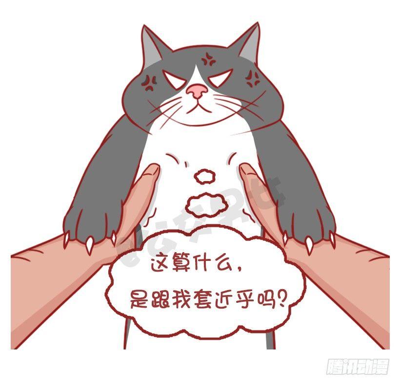 🍸公交男女爆笑漫画 不是说，建国之后动物不能成精吗？ 第5页