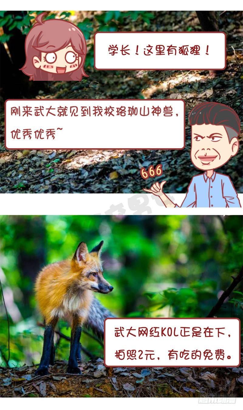 🍸公交男女爆笑漫画 妮妮酱带你游高校 第12页