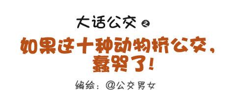 🍸公交男女爆笑漫画 257-十种动物挤公交 第1页