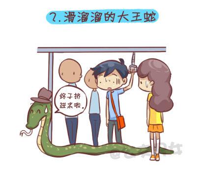 🍸公交男女爆笑漫画 257-十种动物挤公交 第3页