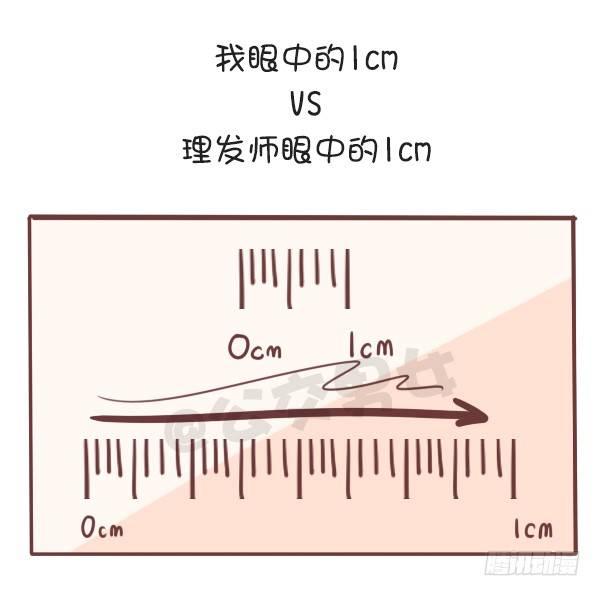 🍸公交男女爆笑漫画 648-理发师眼中的一厘米 第3页