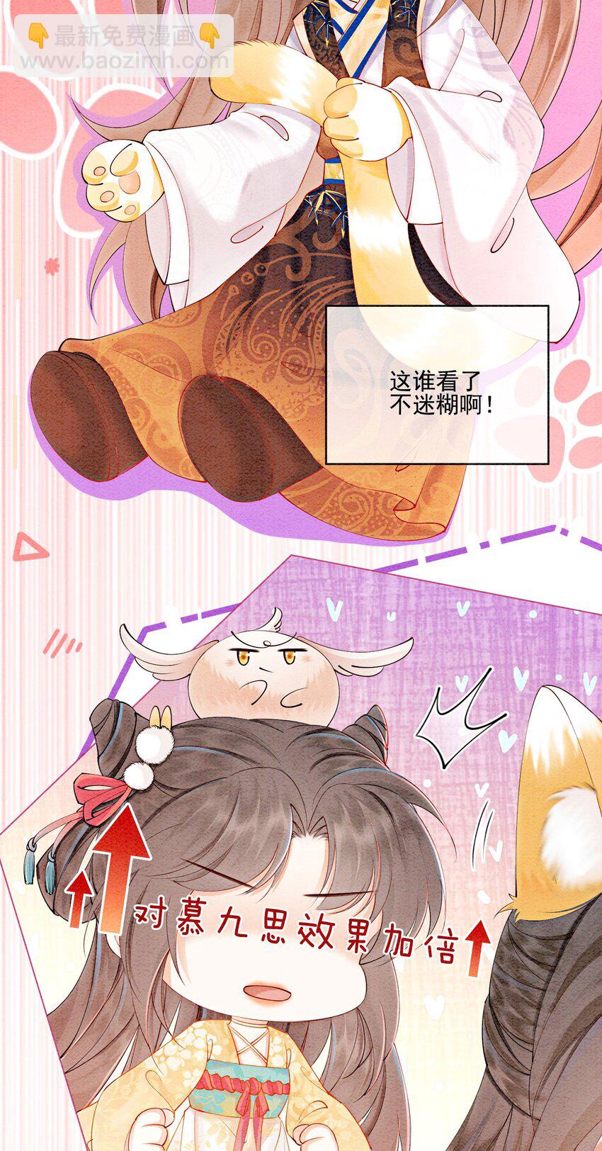 番外 如果胥淮北变成了猫猫-第59话