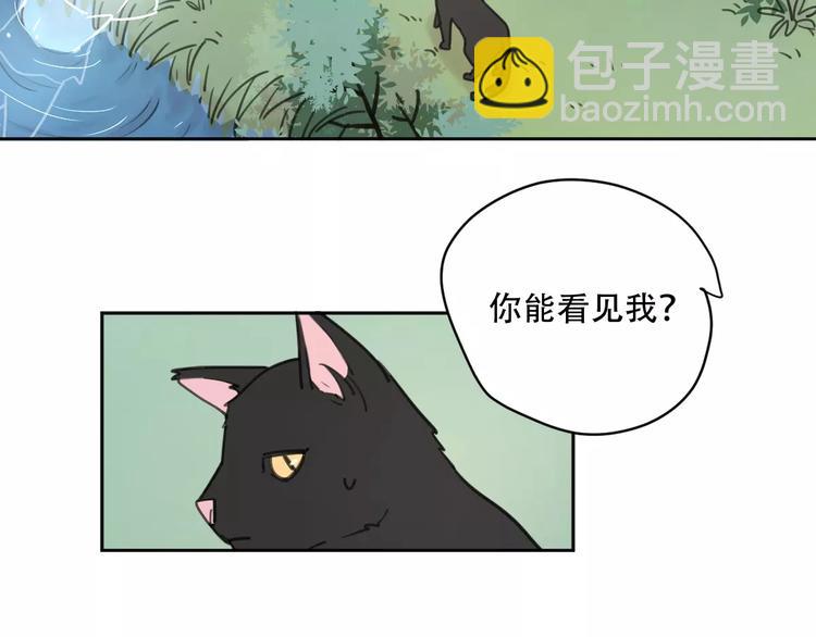 新春特辑4我是汤圆(1/2)-第73话