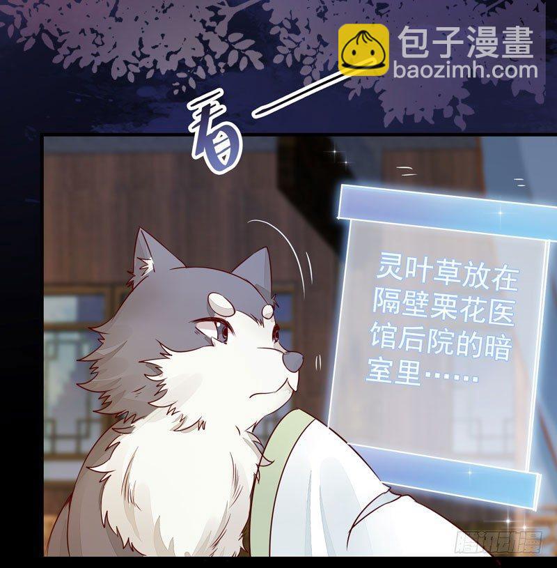 第40话 姬哥哥带我飞-第43话
