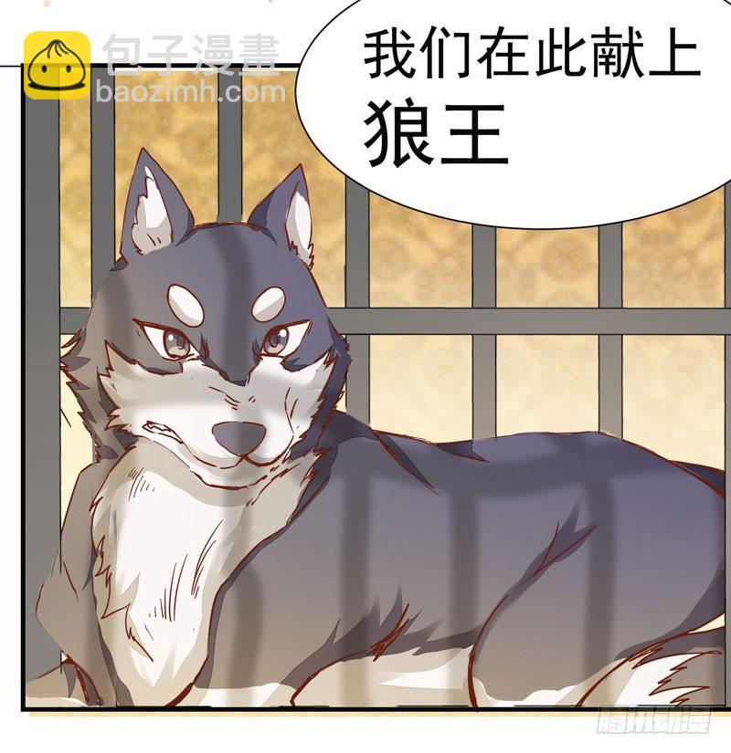 第006话 狼王竟是哈士奇-第7话