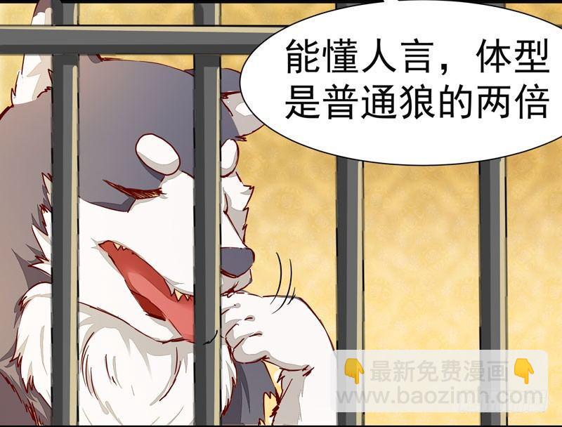第006话 狼王竟是哈士奇-第7话