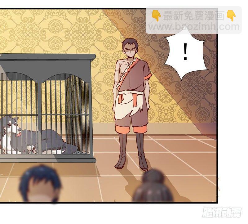 第006话 狼王竟是哈士奇-第7话