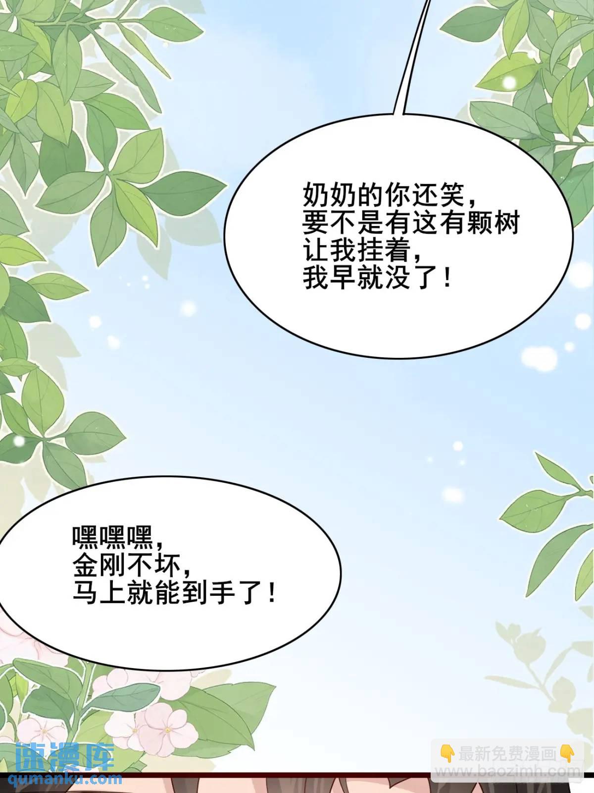 063 再见？海棠(1/2)-第63话
