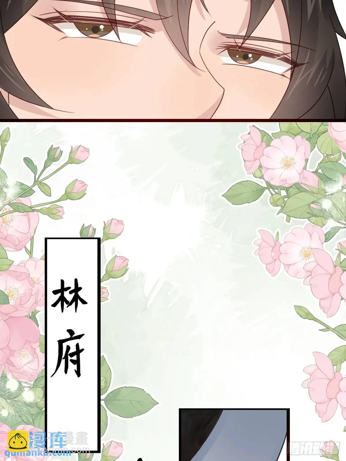 063 再见？海棠(1/2)-第63话