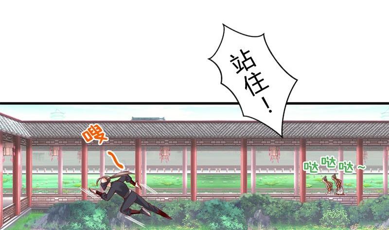 第11话 抓刺客-第11话