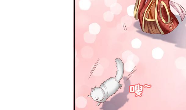 第31话 喵喵喵(1/2)-第31话