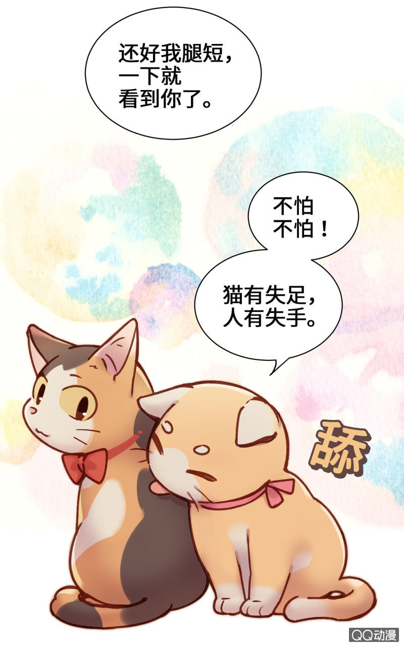 第9杯『猫有失足人有失手』-第11话