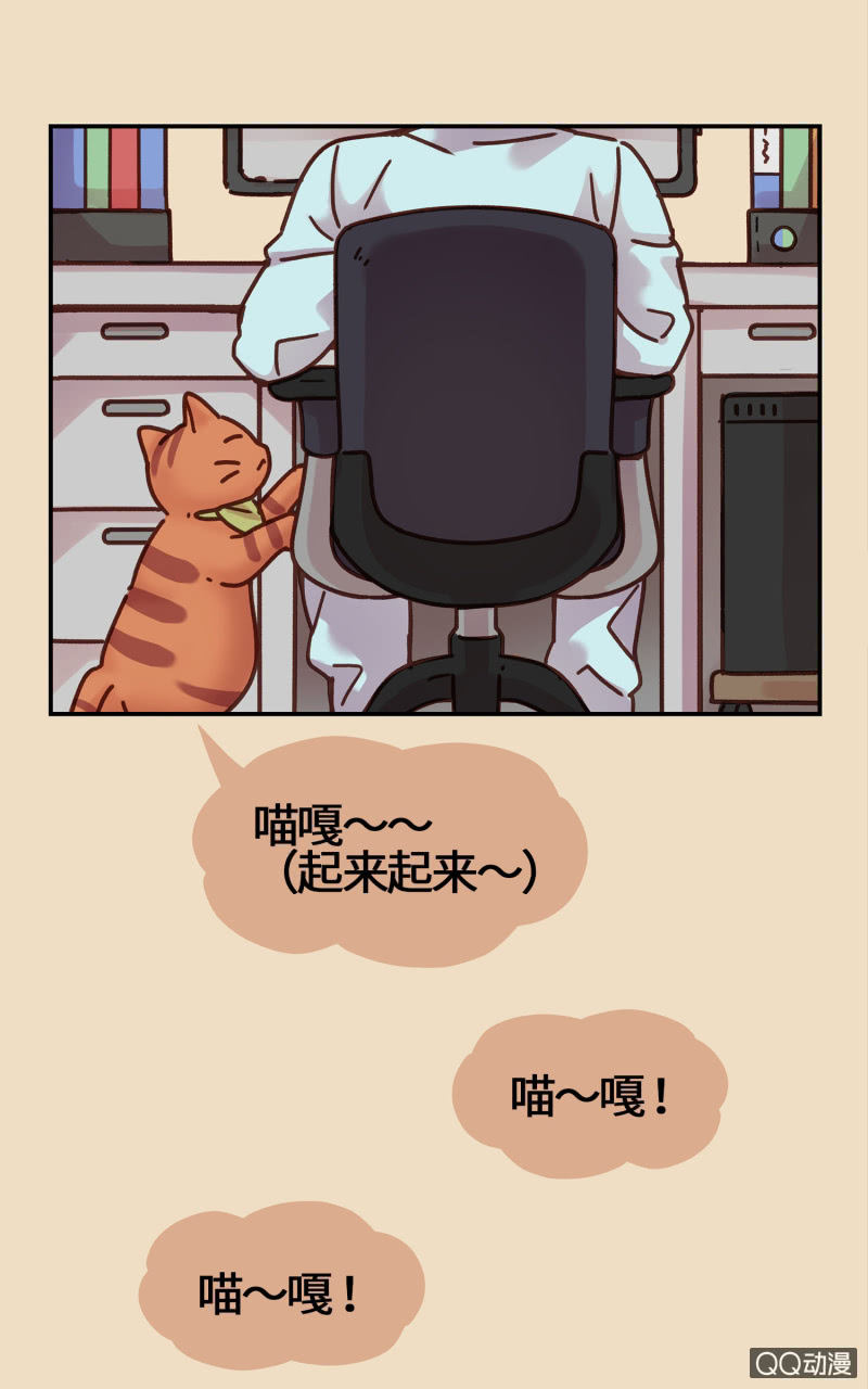 第15杯『猫咪室友』-第17话