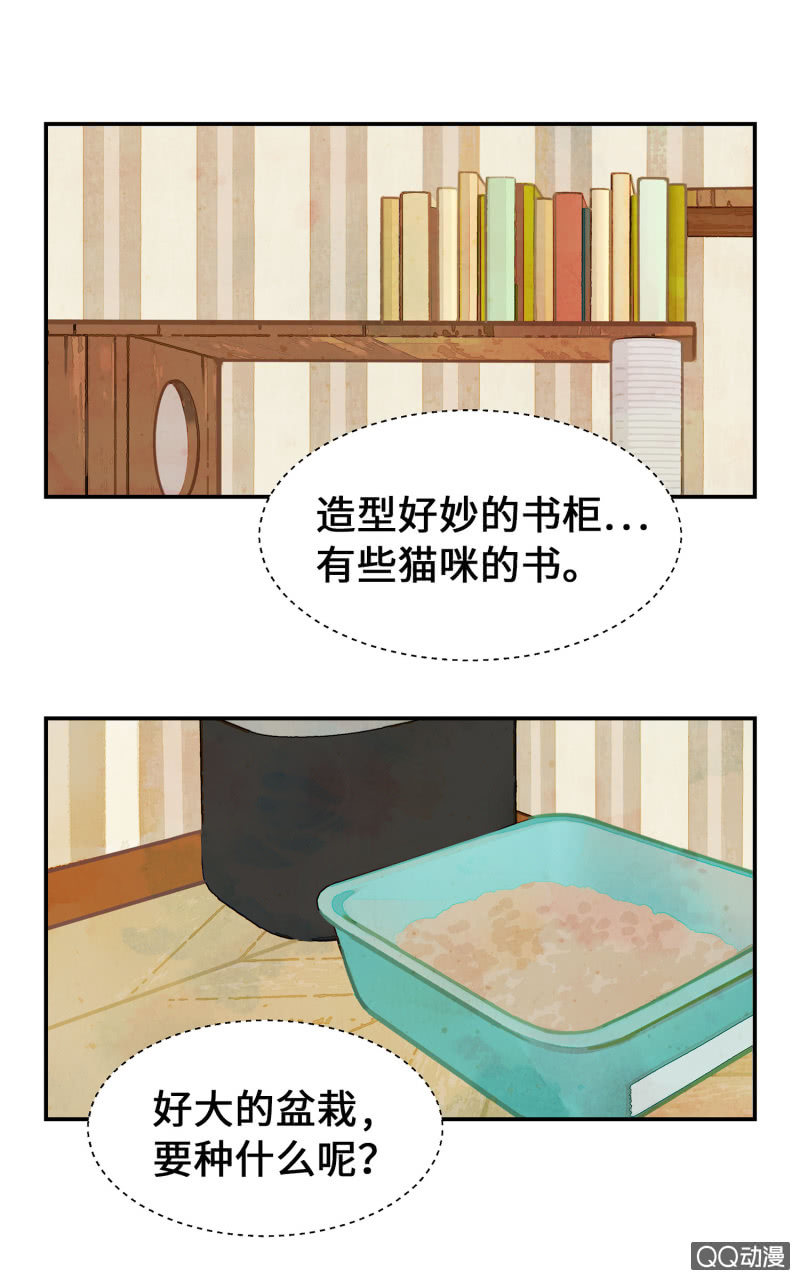 第1杯『最怕小动物了』-第3话