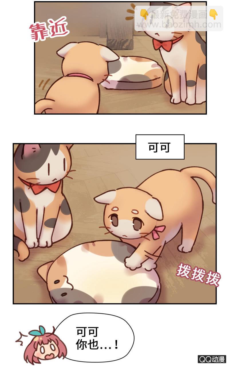 第19杯『寻找犯猫』-第21话