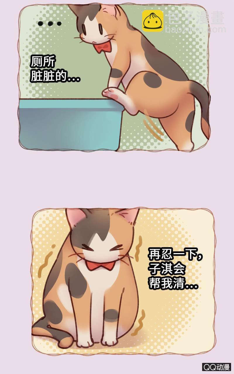 第19杯『寻找犯猫』-第21话