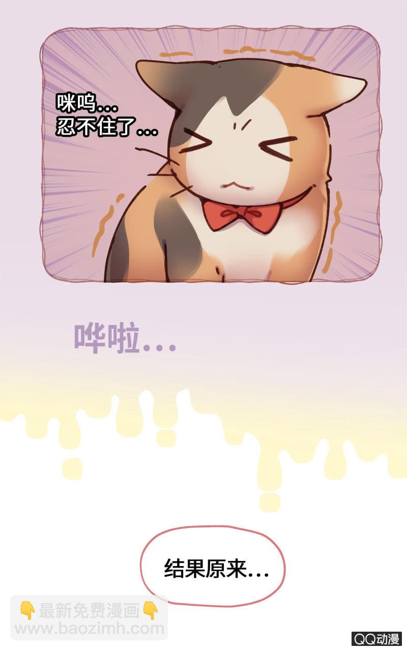 第19杯『寻找犯猫』-第21话