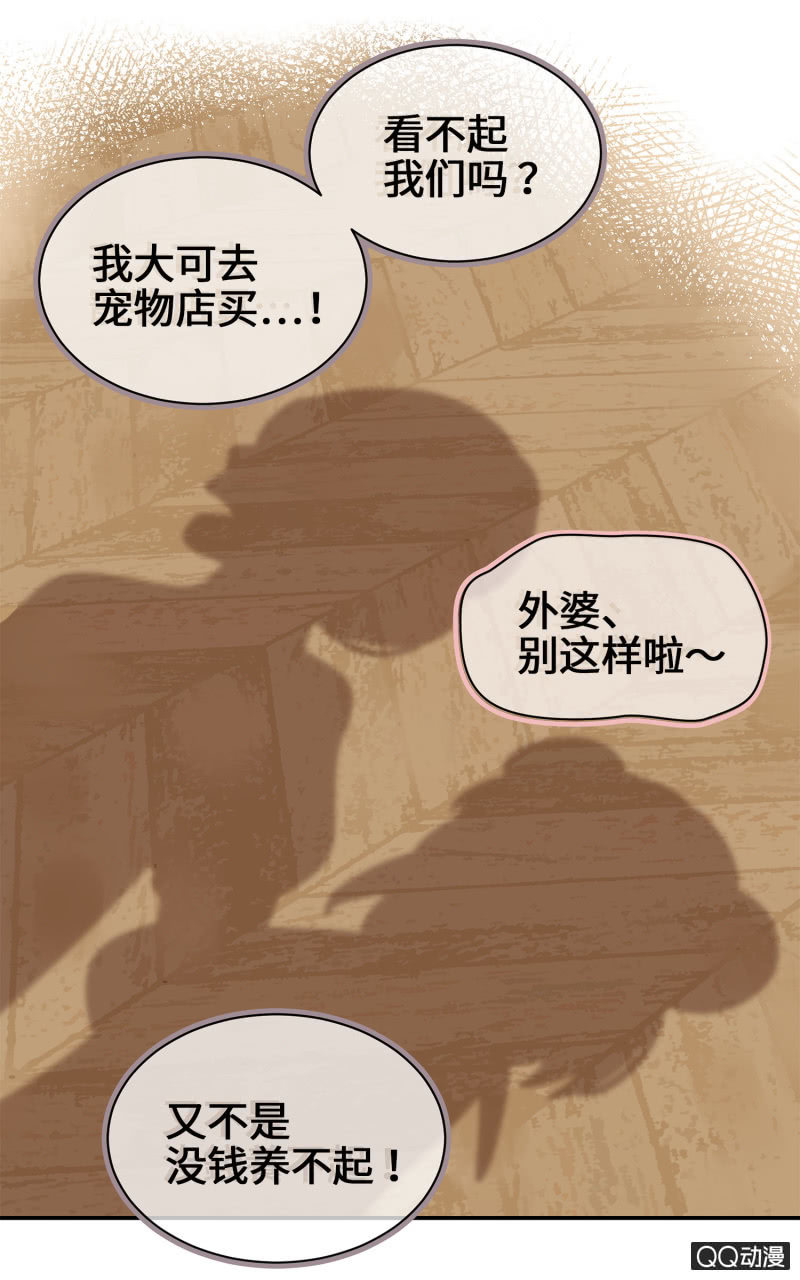 第21杯『生命贵贱』-第23话