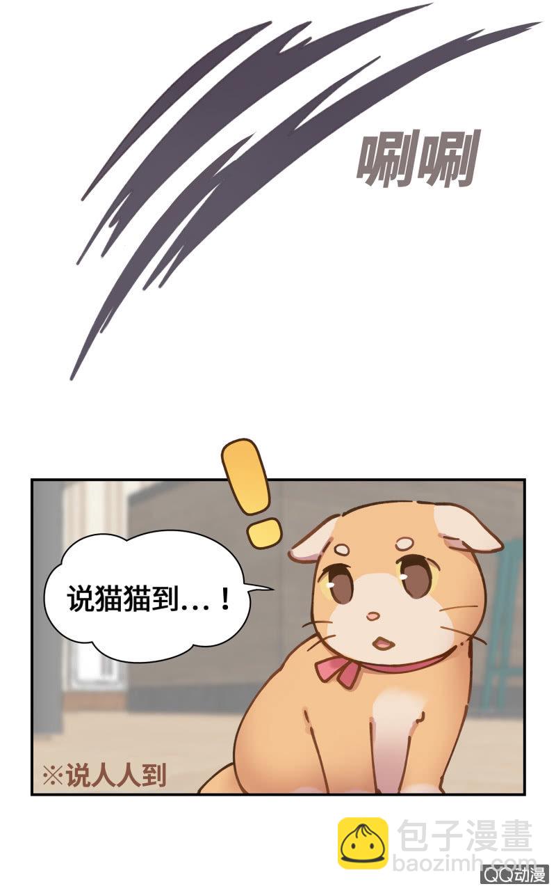 第29杯『最后一次初恋』-第33话