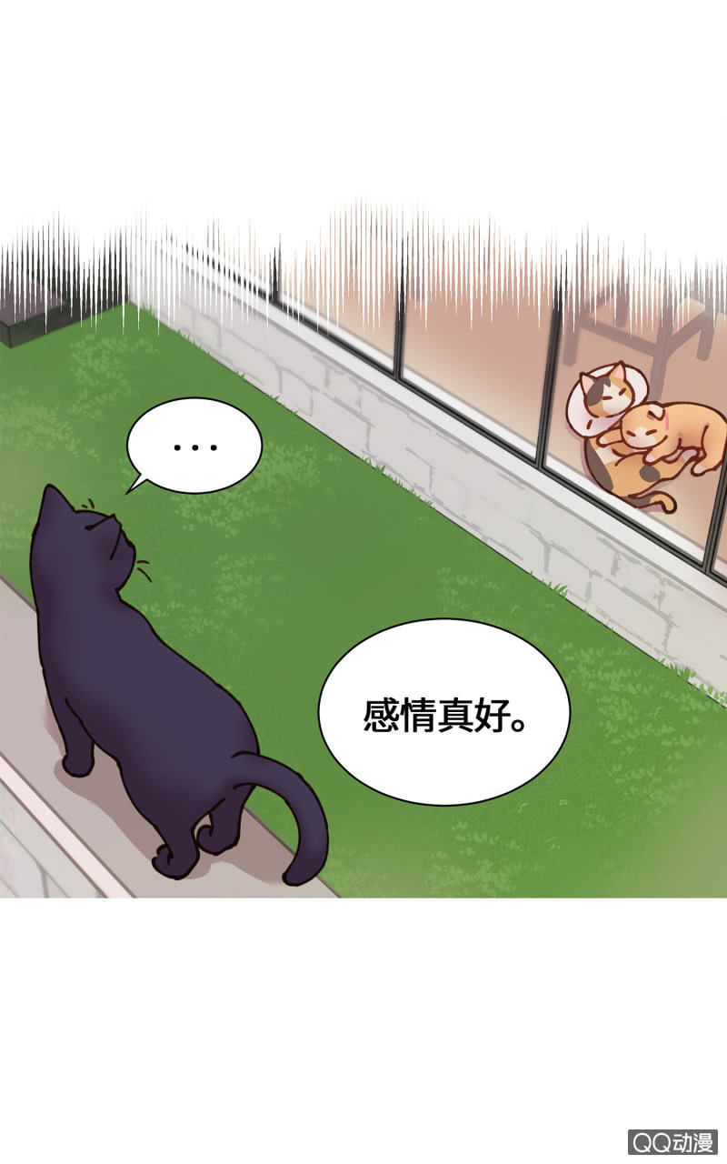 第29杯『最后一次初恋』-第33话