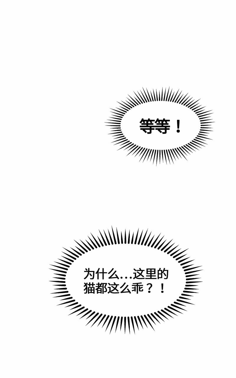 第3杯『冷傲的同事？』-第5话