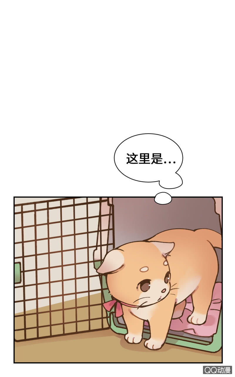 第36杯『独一无二』-第41话