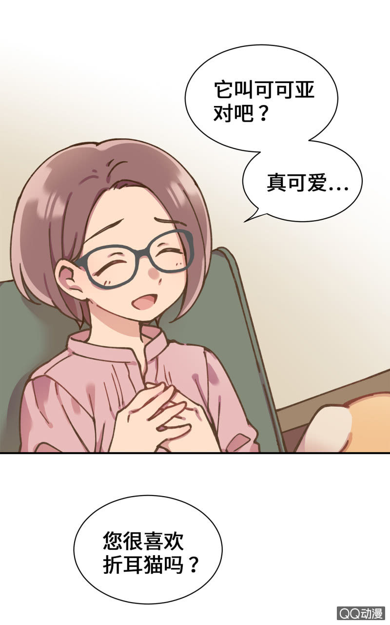 第36杯『独一无二』-第41话