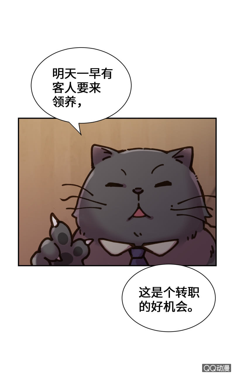 第36杯『独一无二』-第41话