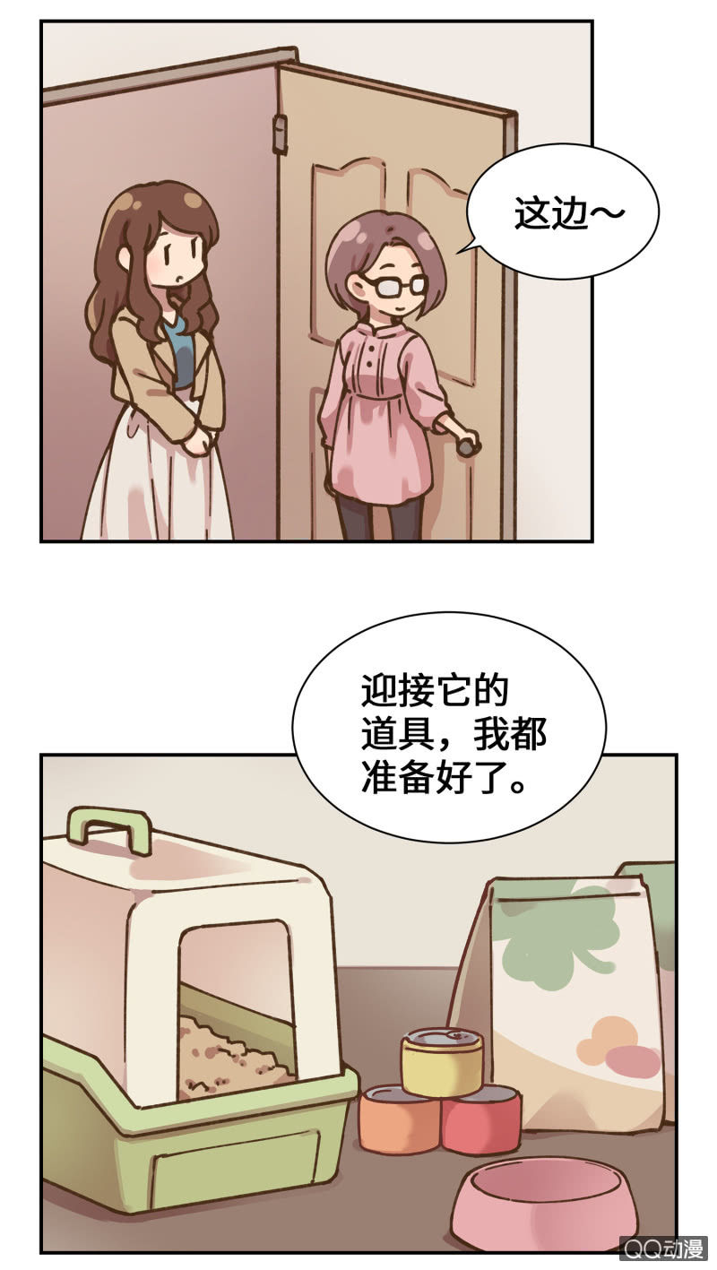 第36杯『独一无二』-第41话