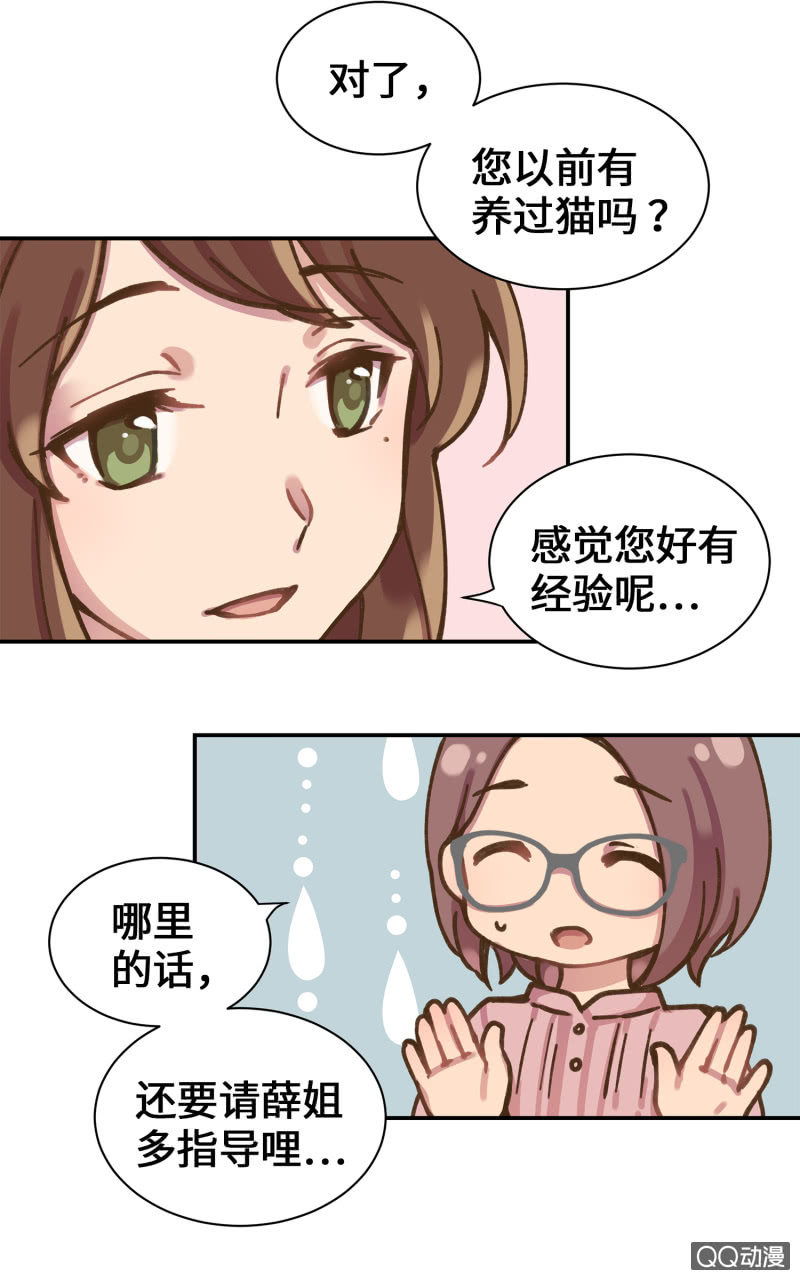 第36杯『独一无二』-第41话