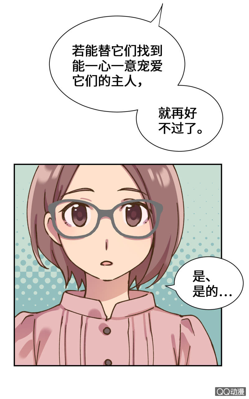 第36杯『独一无二』-第41话