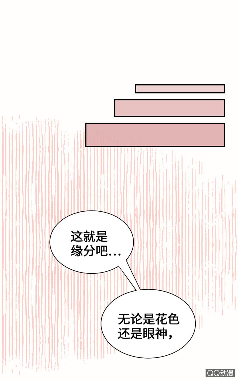 第36杯『独一无二』-第41话