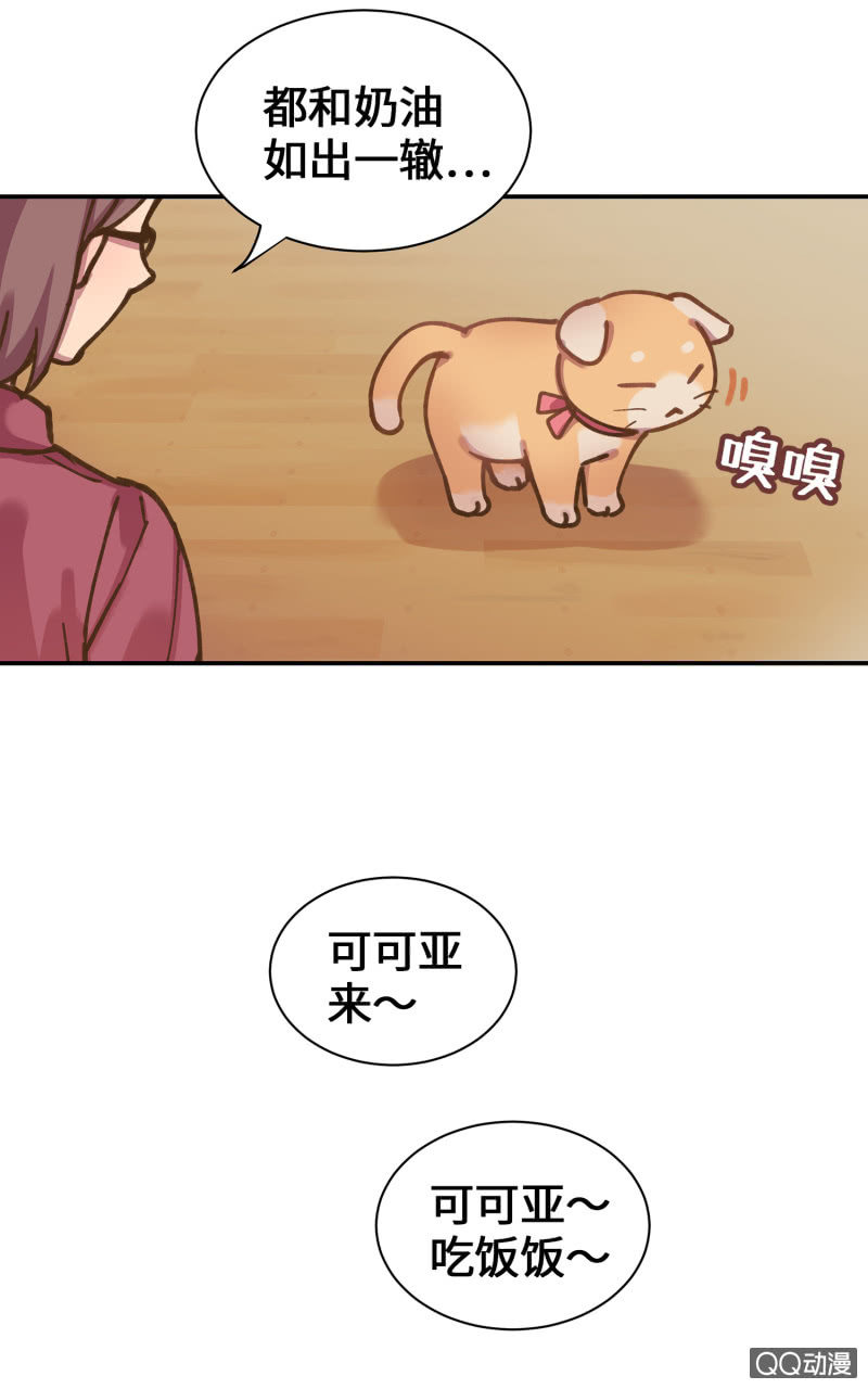 第36杯『独一无二』-第41话