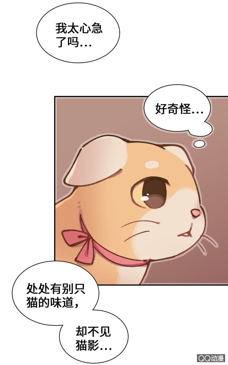 第36杯『独一无二』-第41话