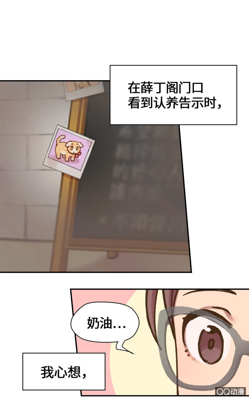第36杯『独一无二』-第41话