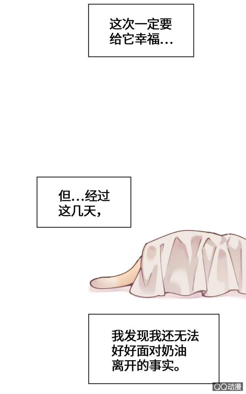 第36杯『独一无二』-第41话