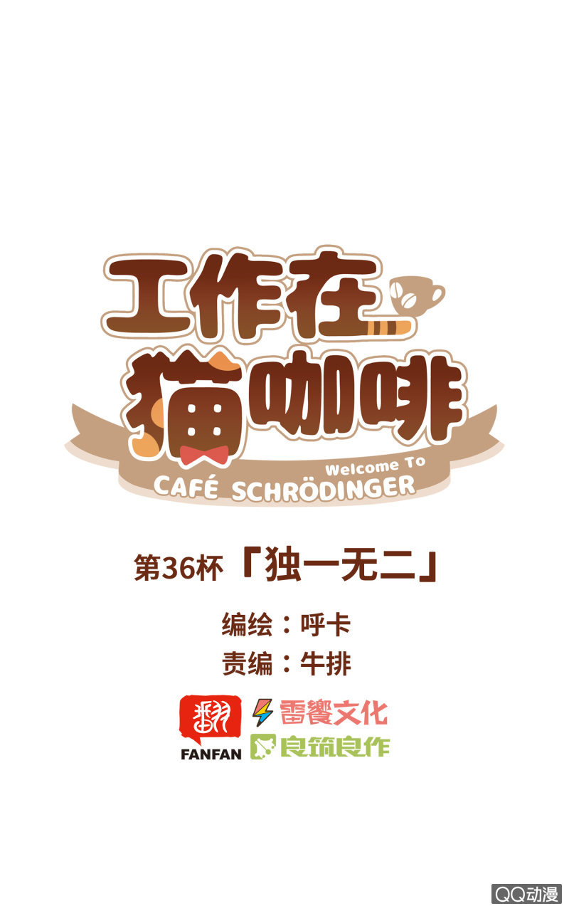 第36杯『独一无二』-第41话