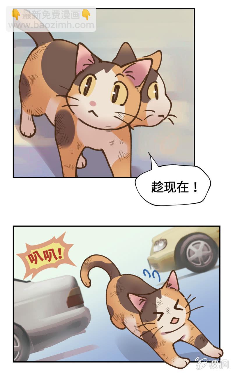 第39杯『走失协寻』-第45话