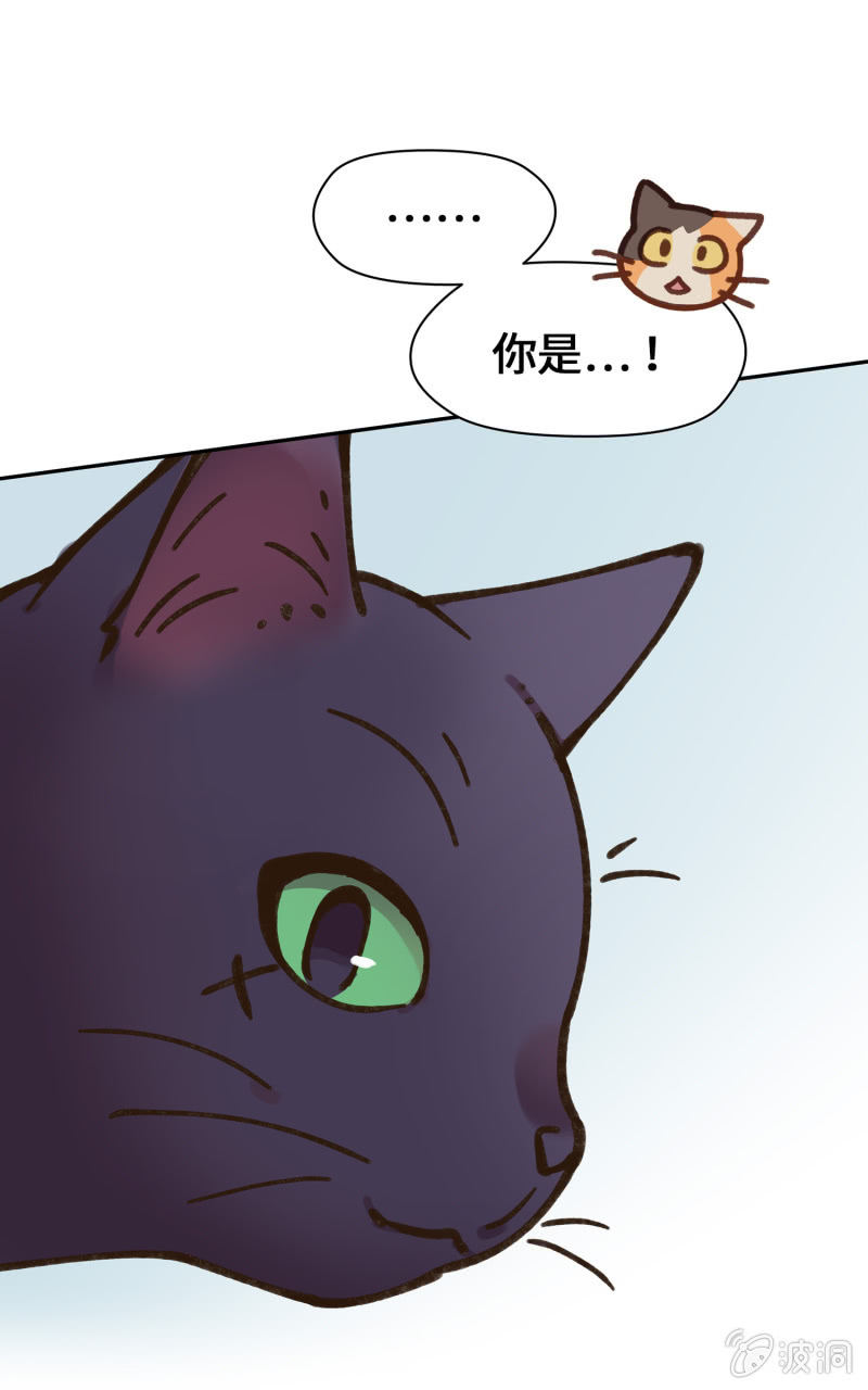 第39杯『走失协寻』-第45话