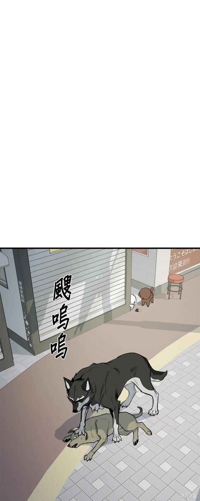🍸狗狗末日生存法 第11话 第1页