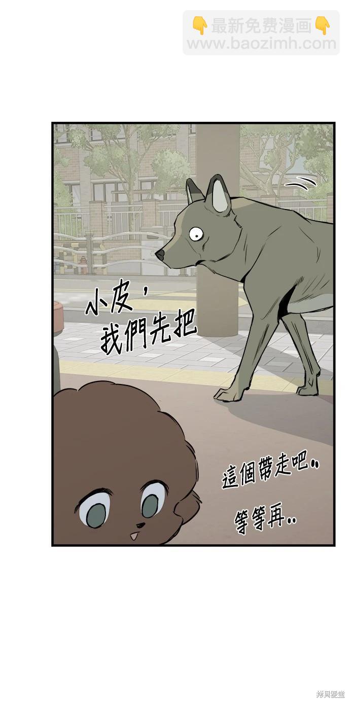 🍸狗狗末日生存法 第11话 第12页