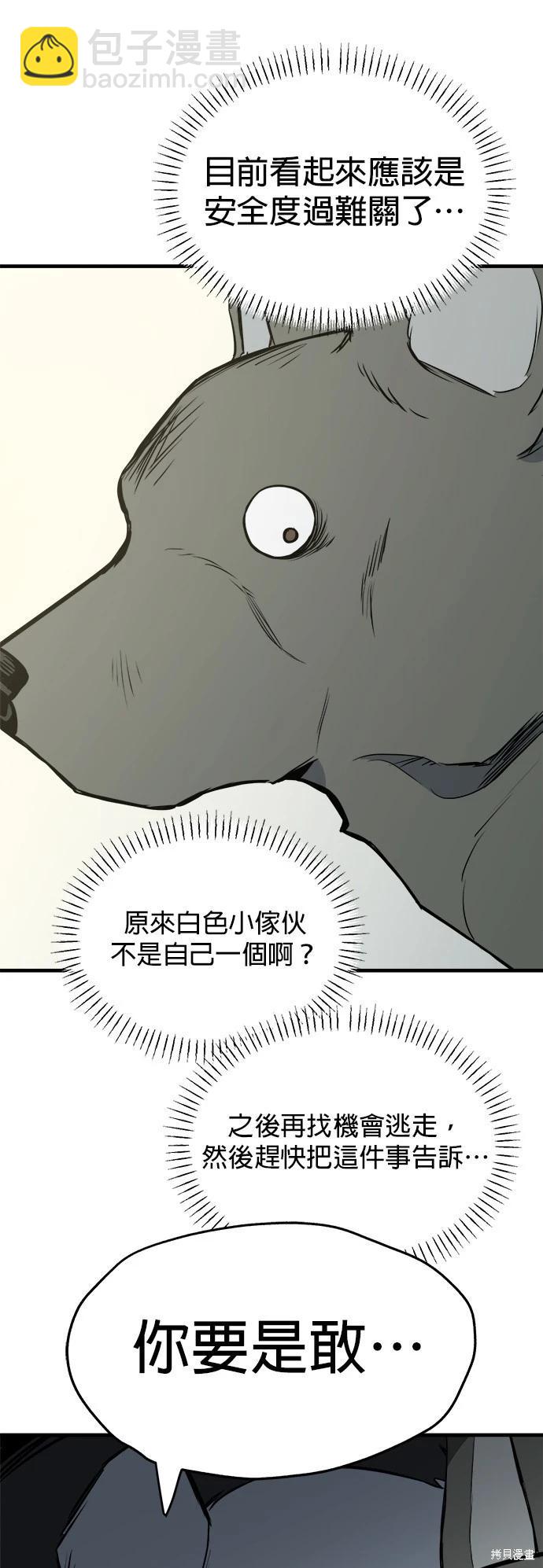 🍸狗狗末日生存法 第11话 第13页