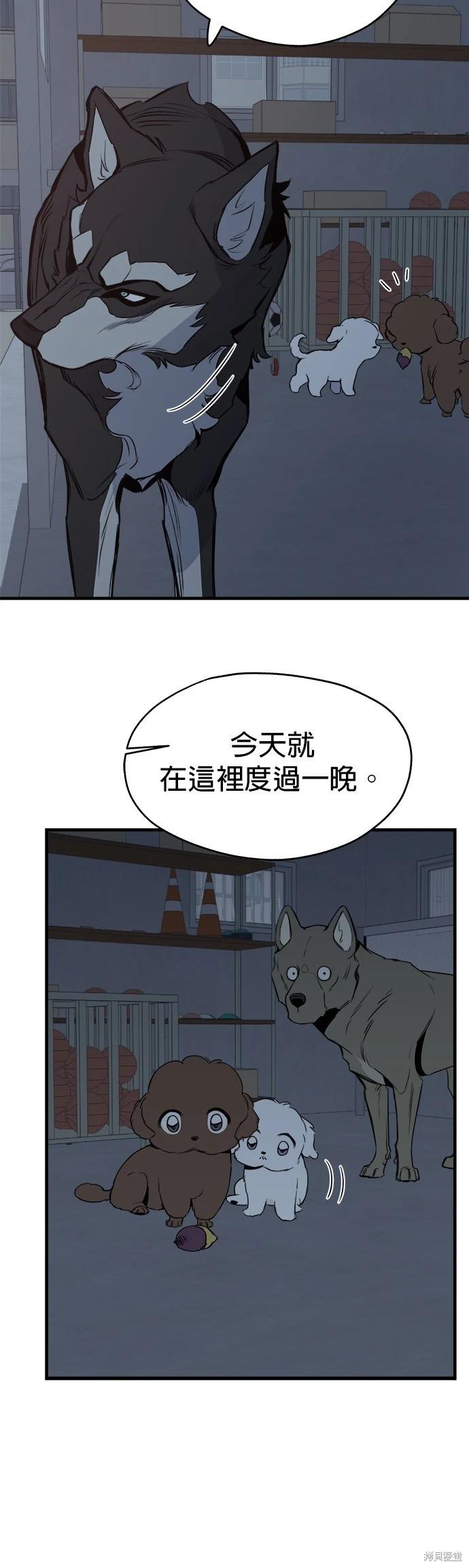 🍸狗狗末日生存法 第11话 第20页