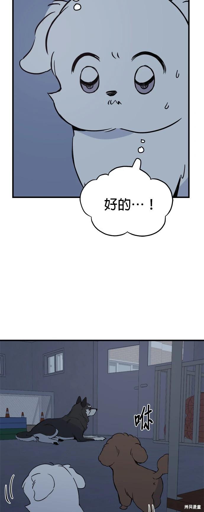 🍸狗狗末日生存法 第11话 第23页