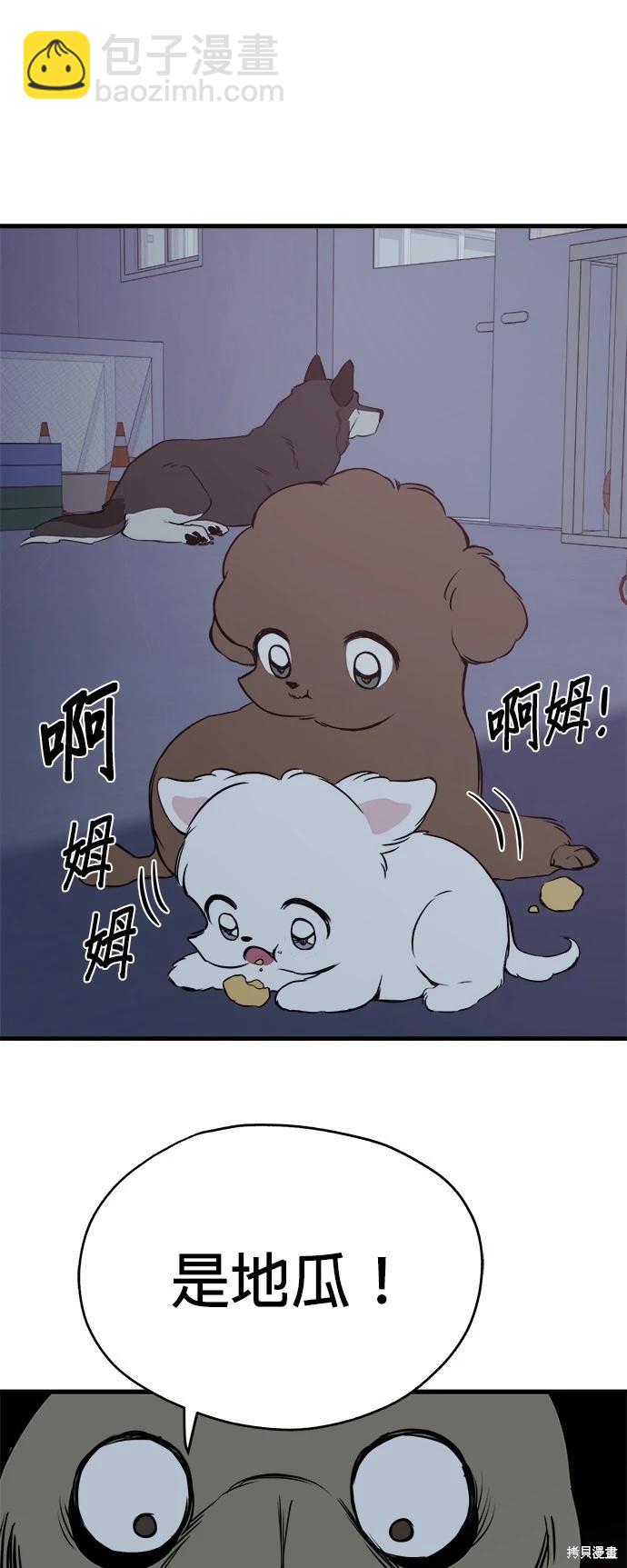 🍸狗狗末日生存法 第11话 第29页
