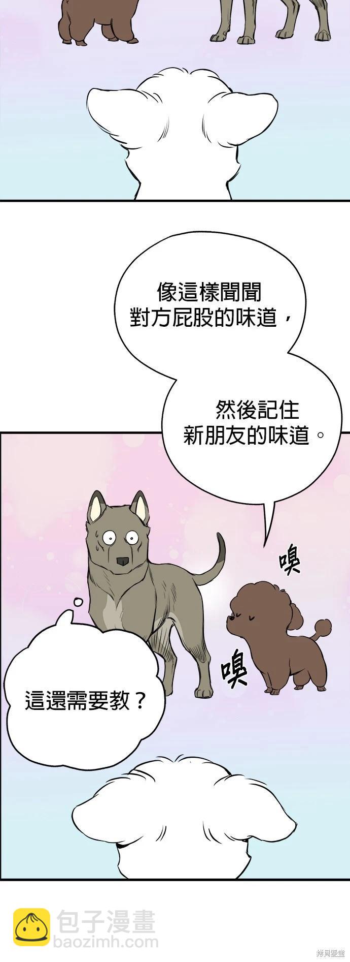 🍸狗狗末日生存法 第11话 第36页
